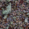 Lavender Lull Rooibos